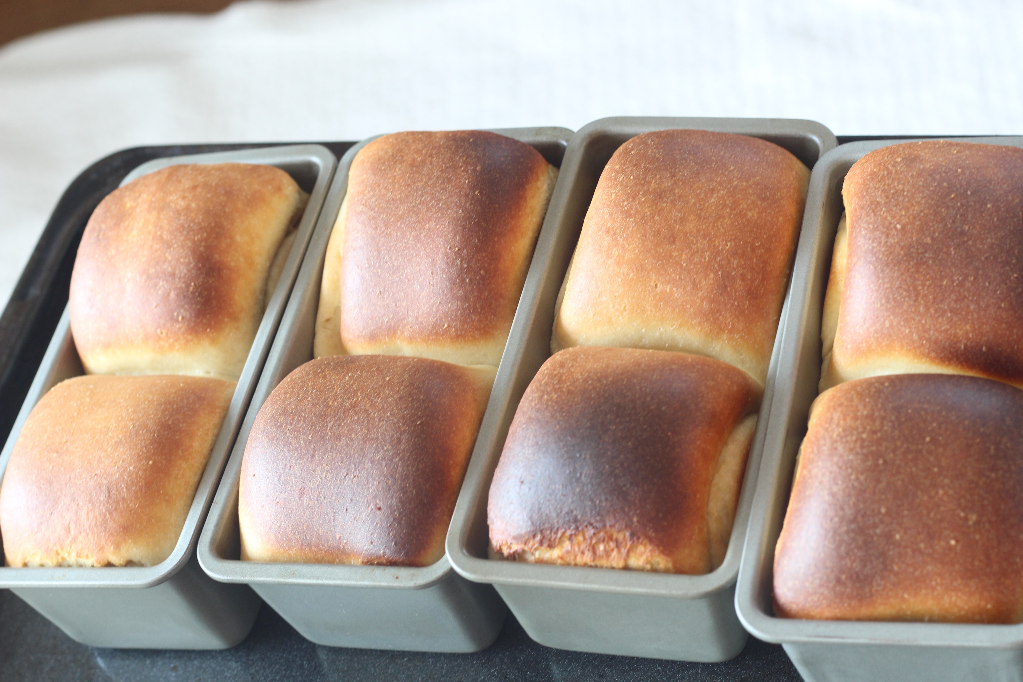 a-ta-sante糖質制限パン料理教室、阿倍野区西田辺。京都江部粉糖質制限パンベーシックコース最終回、山食＆ごまパン。