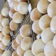 a-ta-sante糖質制限パン料理教室。会館でのレッスン『白パン＆餡クリーム』
